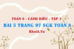 Bài 5 trang 97 SGK Toán 8 tập 1 Cánh Diều